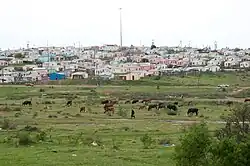 The Shantytown outside of the Allanridge Community Center