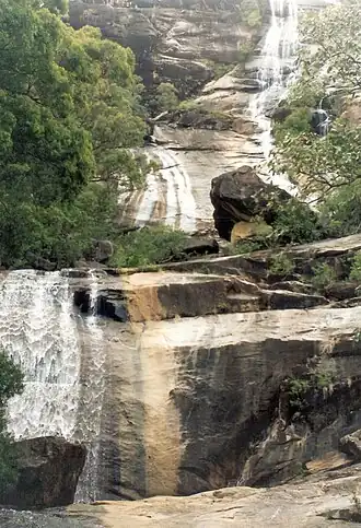Alligator Creek Falls, 1997