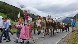 Image 3Farmer families, dressed in traditional clothing, guiding cattle down from the Swiss Alps (from Culture of Switzerland)