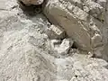 The glacier gives birth to the small stream