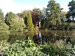 The lake