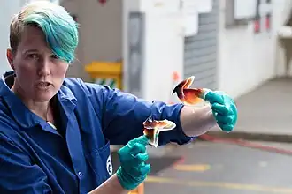 #657 (16/8/2018), Teuthologist Kat Bolstad, who led the dissection, with the extracted lower and upper beaks