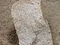 A fragment of Amalia Tuff from an outcropping near Petaca, New Mexico