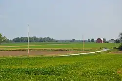 Soybean fields south of Vanlue on County Road 26