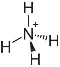 The ammonium cation