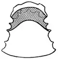 [ə]-colored [l] (palatogram)