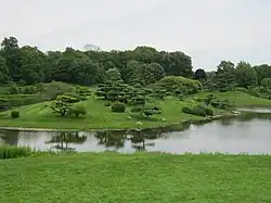 Anderson Japanese Gardens