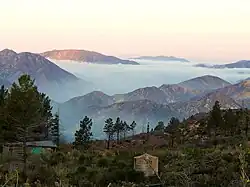 Angeles National Forest