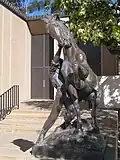 Youth Taming the Wild