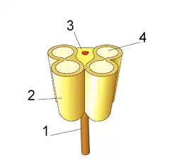 Diagram of an anther in cross section, showing major features