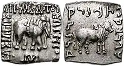 Drachm of Apollodotus I, Indo-Greeks.