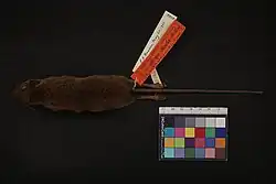 Dead brown mouse