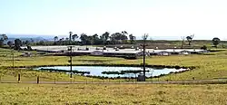 Inghams Broilers factory farm