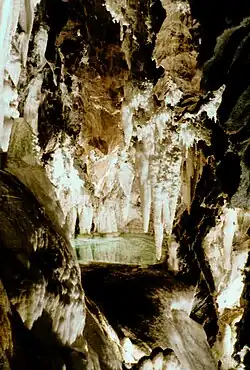 View inside the cave over a water body with speleothems hanging over it
