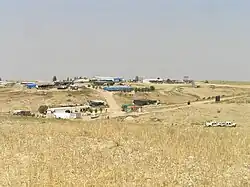 Al-Araqeeb, 2010