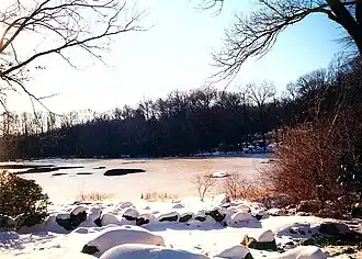 The arboretum lake in winter.