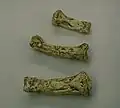 Casts of Ardi's finger bones