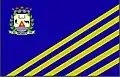 Flag of Aricanduva