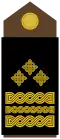 General pukovnik (Croatian Army)[10]