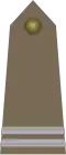 Kapral (Polish Land Forces)[64]