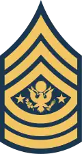 2010–present, green background replaced with dark blue for Army Blue Service Uniform (ASU)