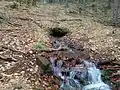 The Arzborn (Spring of Querbach)