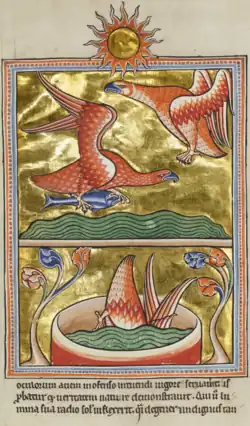 Colour photograph of folio 74r of the Ashmole Bestiary