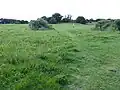 Aspal Close