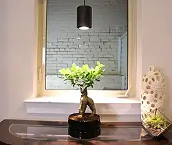 A small ficus plant being grown under a black LED light fixture emitting warm white light