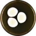 Aspergillus floccosus growing on MEAOX plate