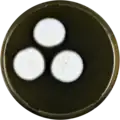 Aspergillus polyporicola growing on MEAOX plate