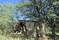 The ruins of what may have been the assay office.