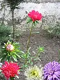 Mix colours