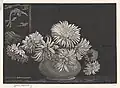 Lionel Lindsay (1937) Asters, wood engraving, 10.2 × 14.5&nbsp;cm (block). National Gallery of Victoria
