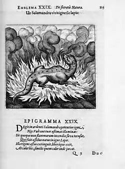 Salamander - Atalanta Fugiens, 1618