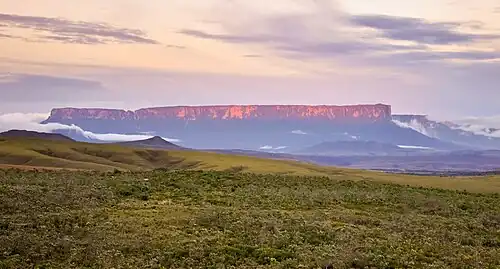 A distant view
