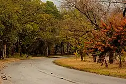 Islamabad's deciduous trees change colours in autumn