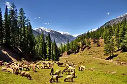 Utror Valley, in Upper Swat District