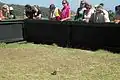 The audience watches the show while a bearded dragon roams the enclosure