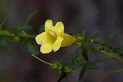 In Sullivan County, Tennessee