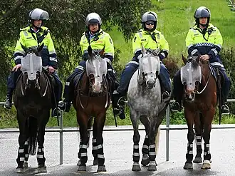 Australian Mounted Police Force