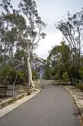 Australian National Botanic Gardens