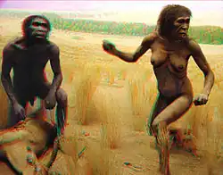 Australopithecus couple