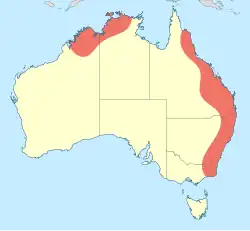 Map showing the distribution of Austrocordulia species in northern and eastern Australia