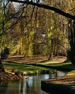Pollard Park