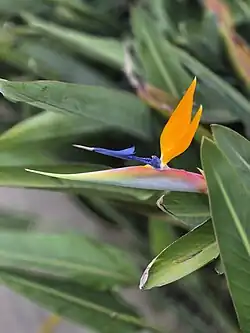 In southern Brazil