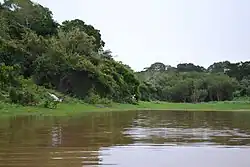 View of a lagoon in the Chuchini Wildlife Reserve.