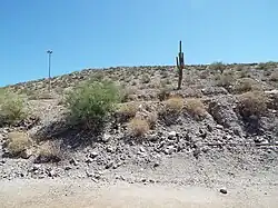 Monument Hill.