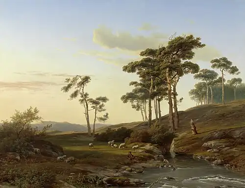 Evening Mood with Shepherd