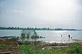 People swimming at the river